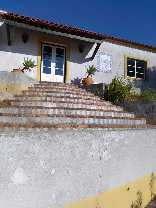 limpeza de terrenos e desmatação