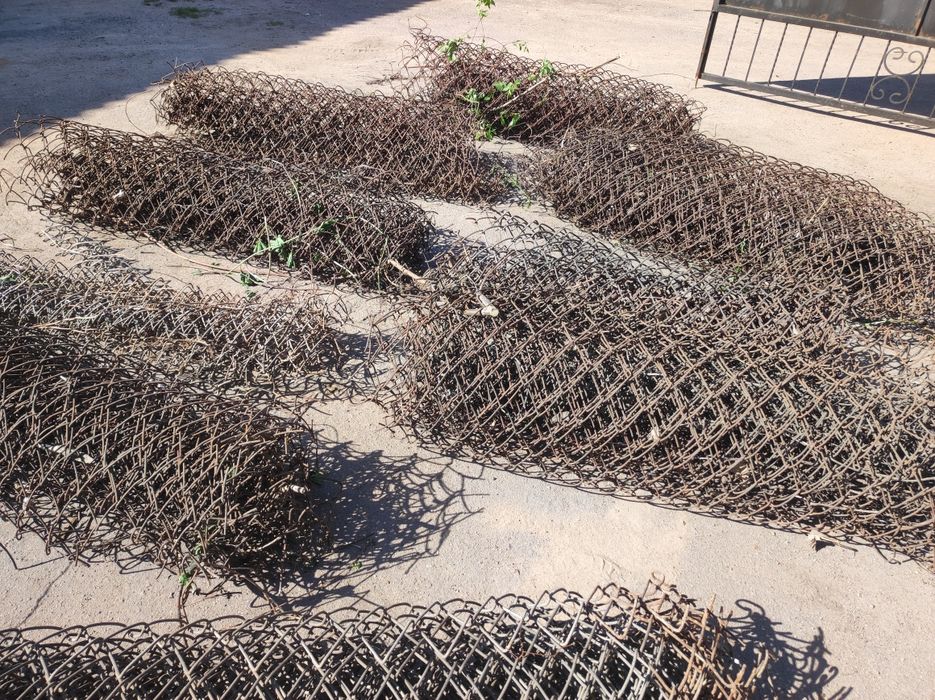 Сітка рабіца б/в