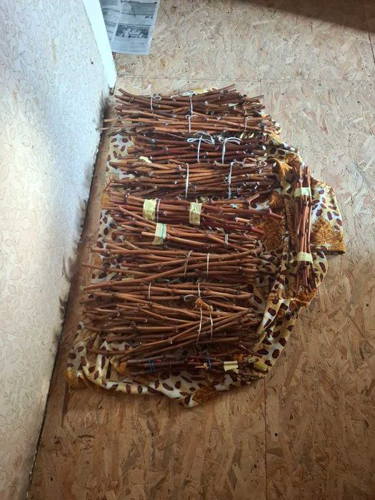 Черенки и саженцы винограда