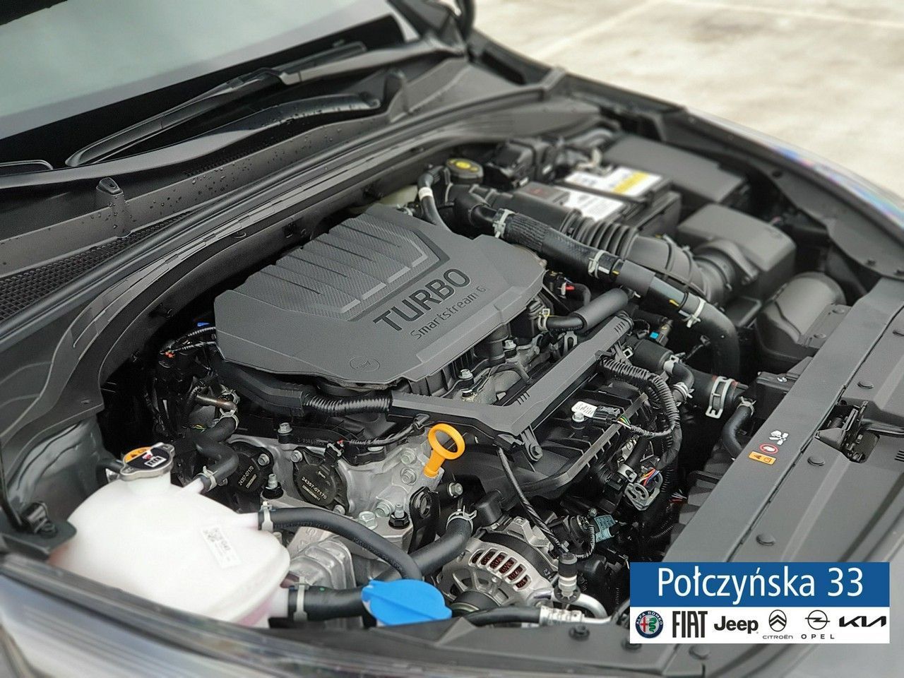 Kia Ceed 1.0 T-GDI 120KM 6MT| Wersja M | Black Pearl | MY23