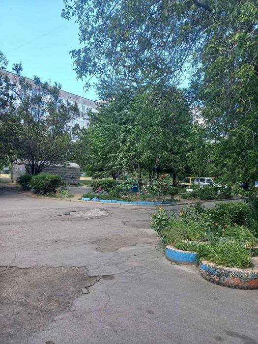 Ідеальний старт у житті або тиха гавань для душі