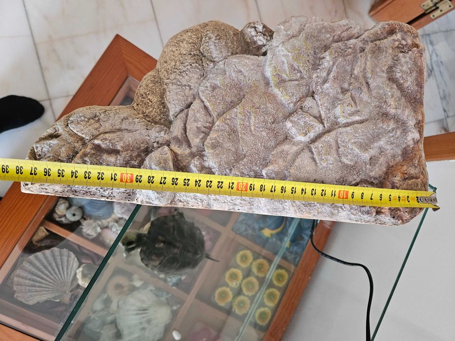 Base flutuante aquário tartaruga