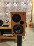 Usher S-520 AudioLand Studio kolumny
