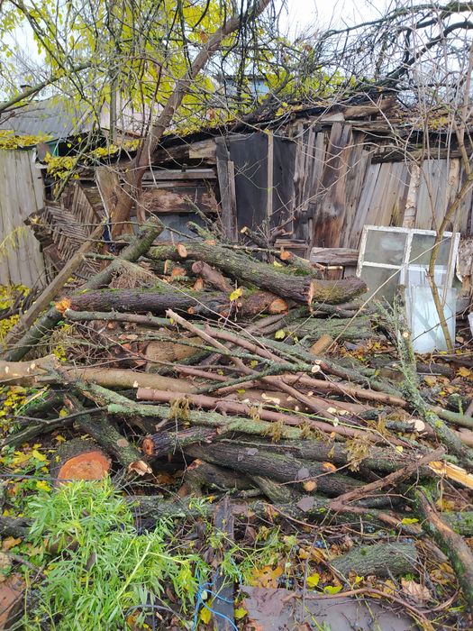 Дрова майже   безкоштовно