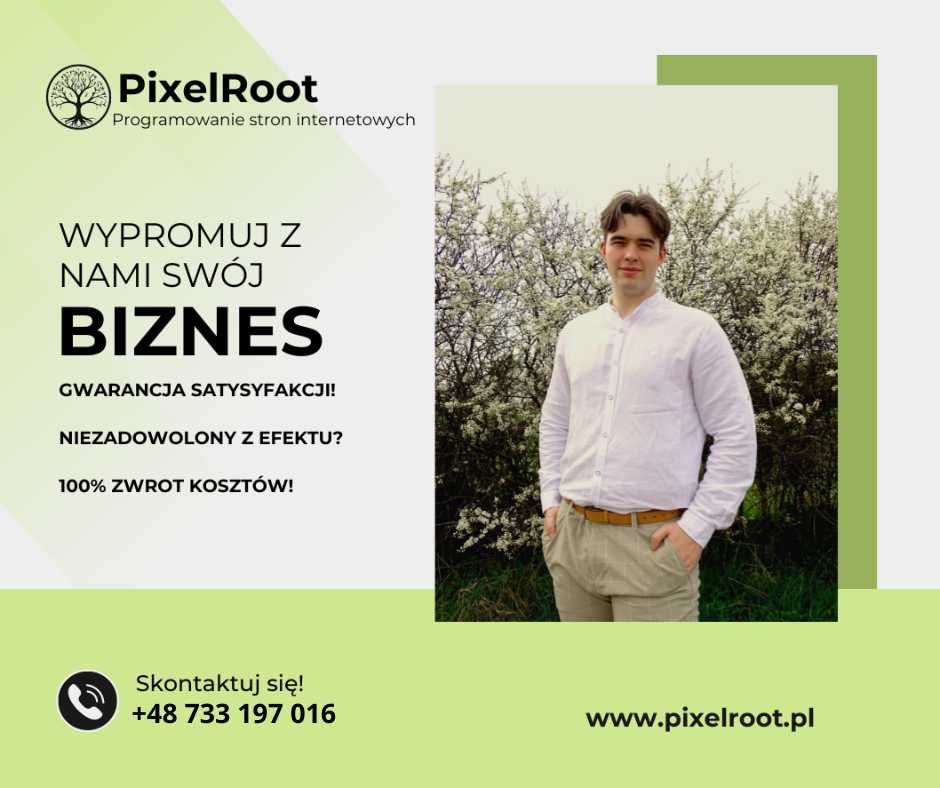 Programowanie stron oraz sklepów internetowych, marketing online