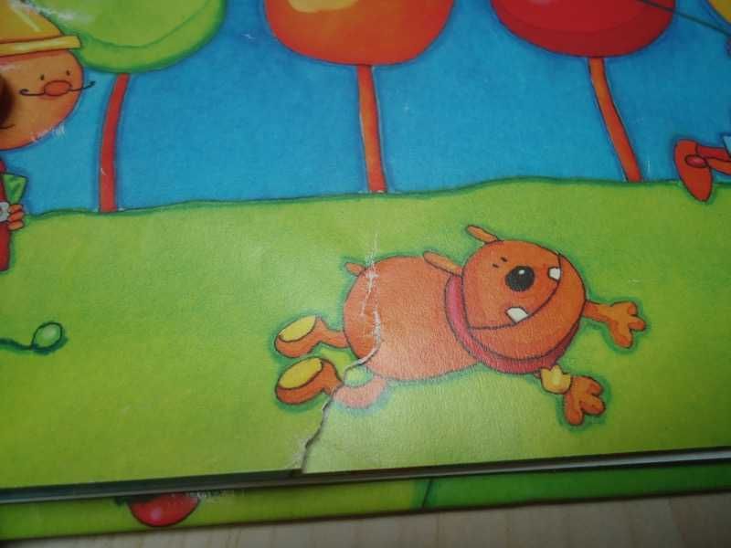 Livro Infantil "Os Papagaios do Rei"