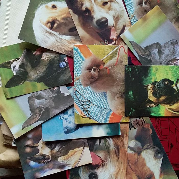 Календарики 1980 -1990 года.