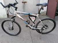 Rower GIANT Terrago 3
