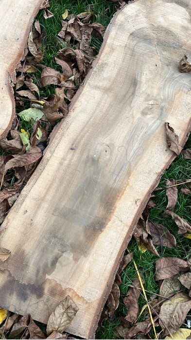 Dechy orzech włoski ostatnie sztuki!