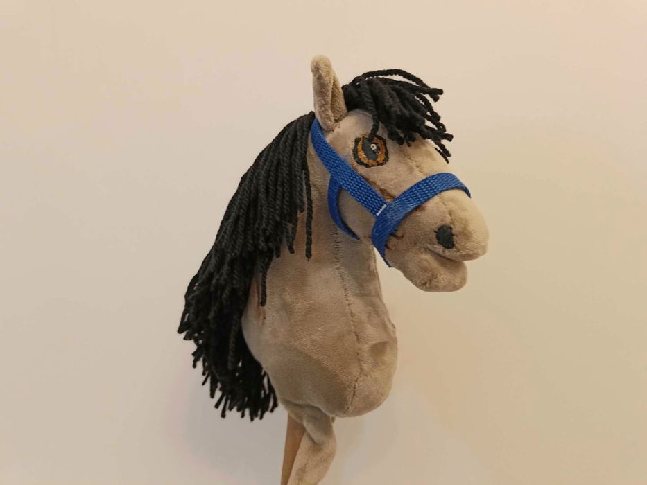 Hobby horse A5 - NSH Carlinda