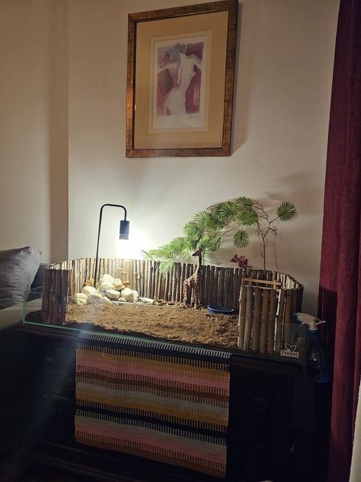 Terrario para animais