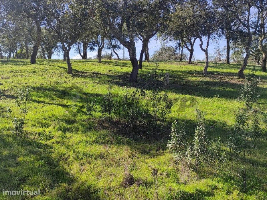 Terreno rústico de 0,65Ha localizado dentro da localidade da Dogueno