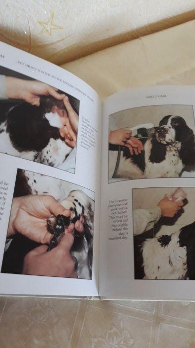 книга английский THE ENGLISH SPRINGER SPANIEL Don Miller 1995 спаниель