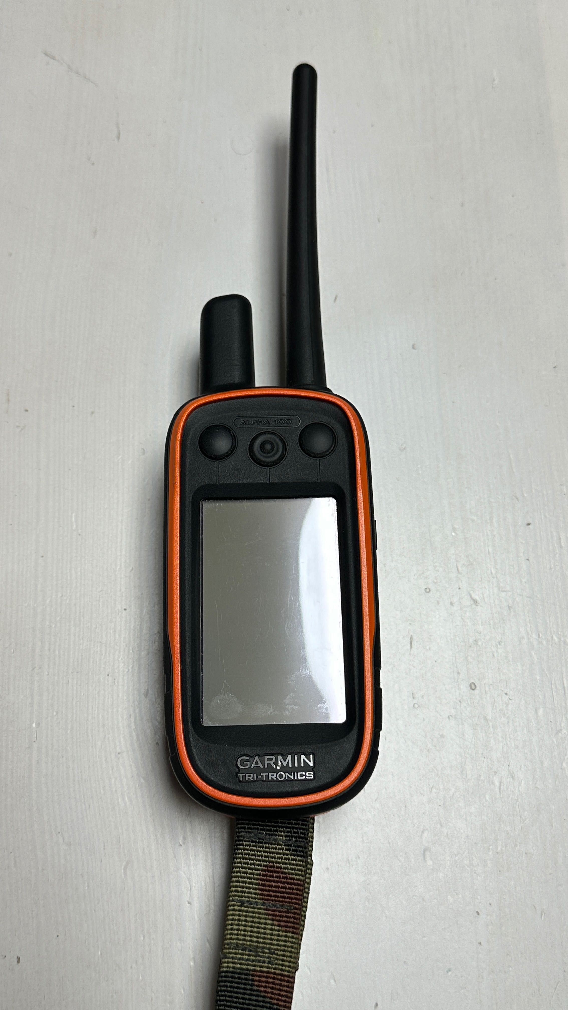 Навигатор Garmin Alfa 100