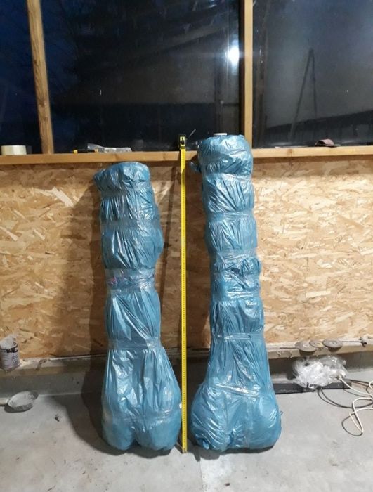 Саджанці граба, для живоплоту, жива ізгородь.