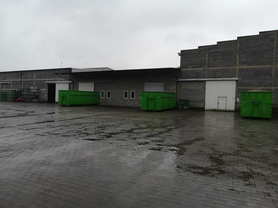 Wynajmę magazyn chłodniczy