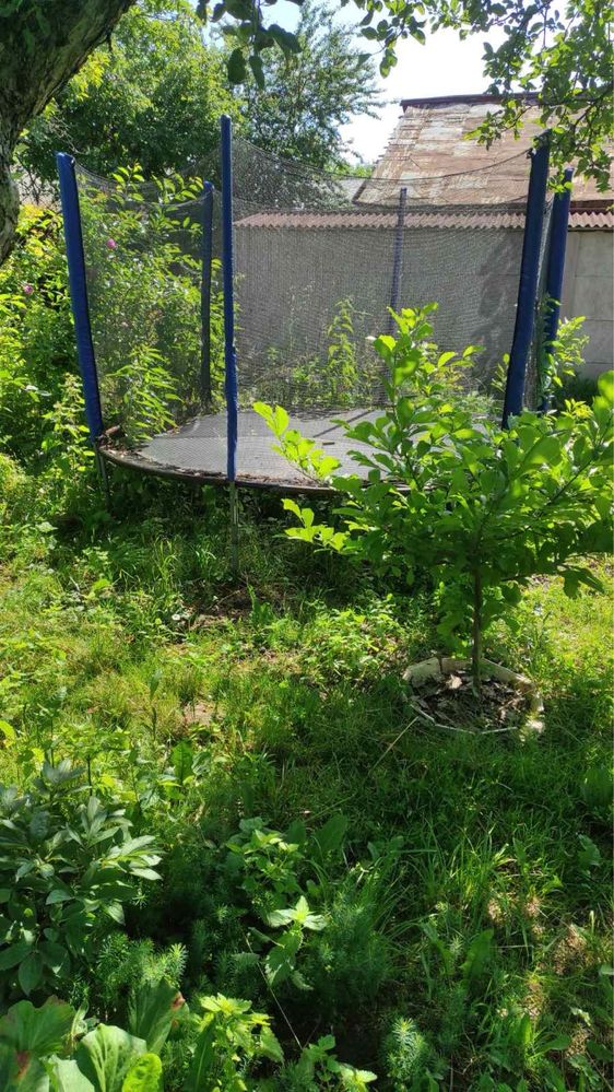 Продам батут 3 метри діамитер