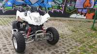 Kymco Arctic Cat DVX Maxxer 300 Access Aeon Inny Dinli Adly DS