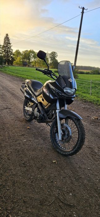 Suzuki XF 650 Freewind