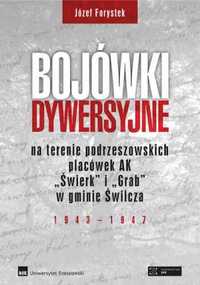 Bojówki dywersyjne TW - Józef Forystek