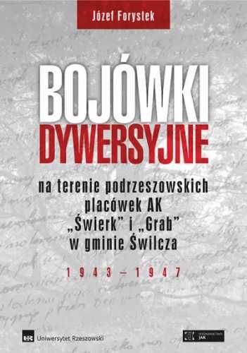 Bojówki dywersyjne TW - Józef Forystek