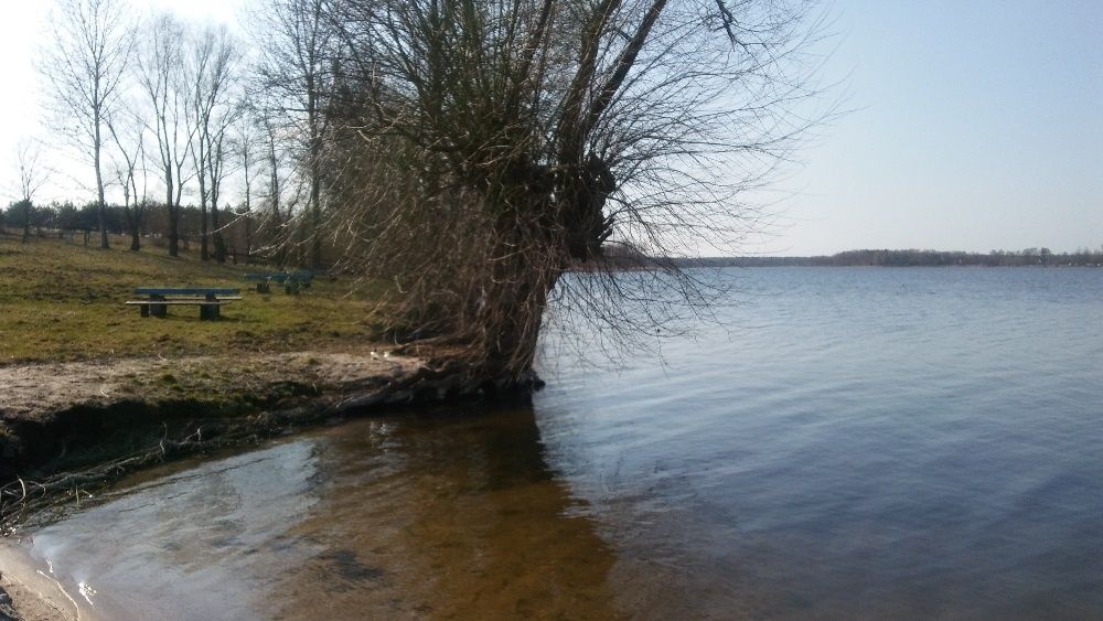 Wynajmę domek letniskowy nad jeziorem Białe u Sylwka