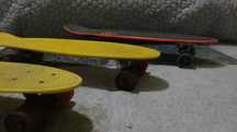 Skates - Sector 9 Longboard & Oxelo Longboards