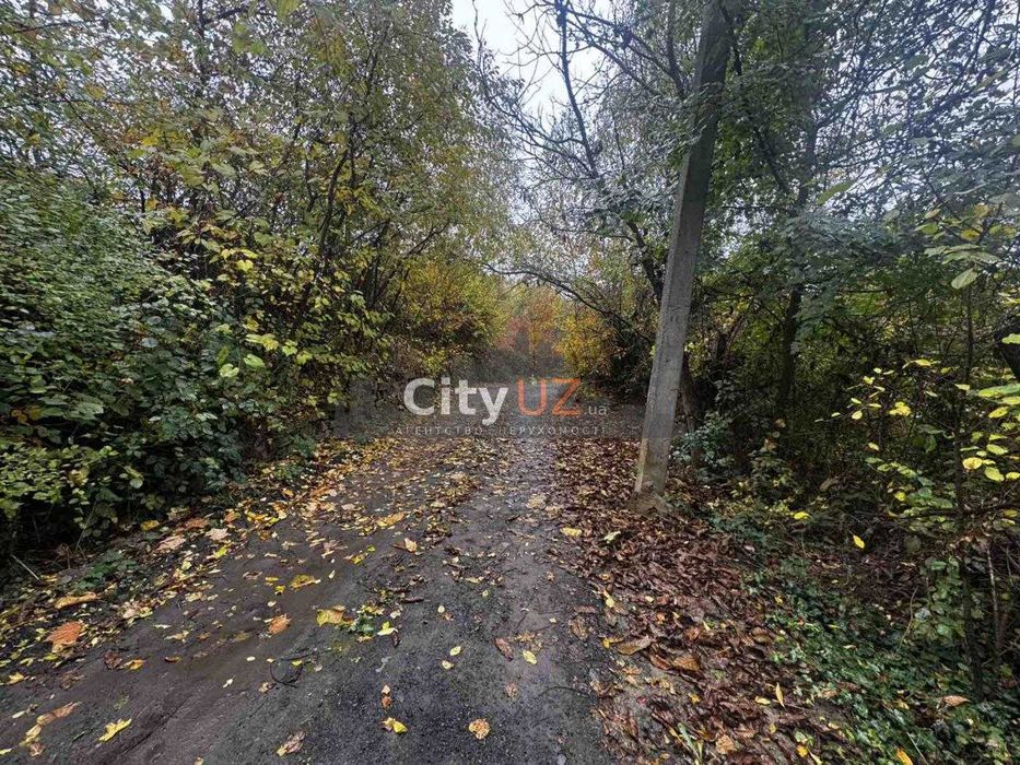 Продається дача в Оріховиці