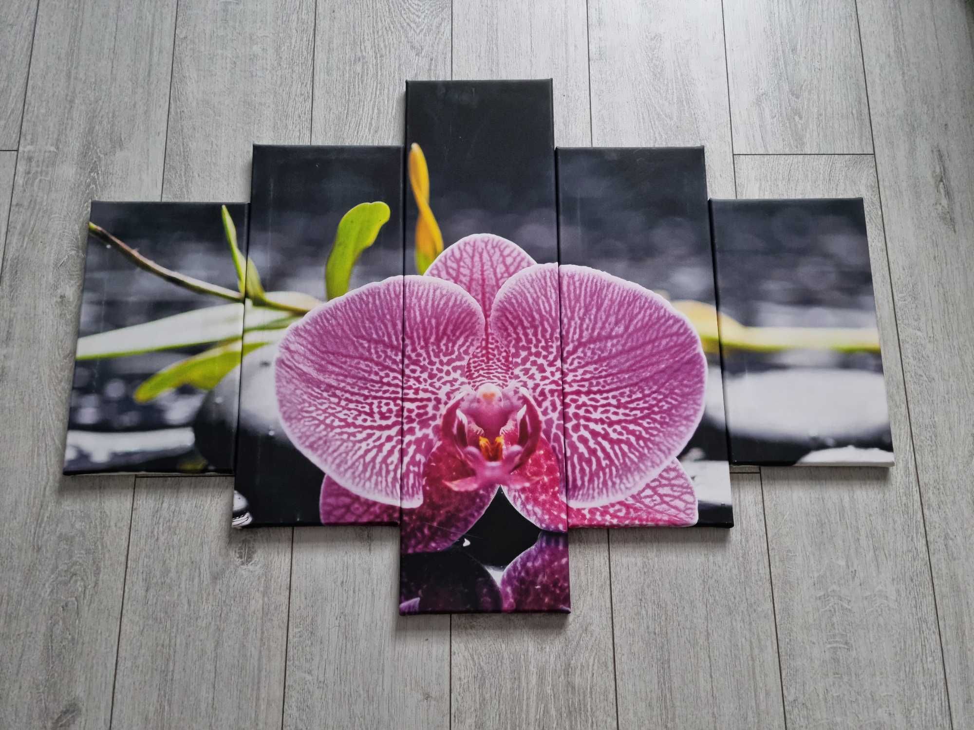 Obraz na płótnie 5 częsci ( orchidea)