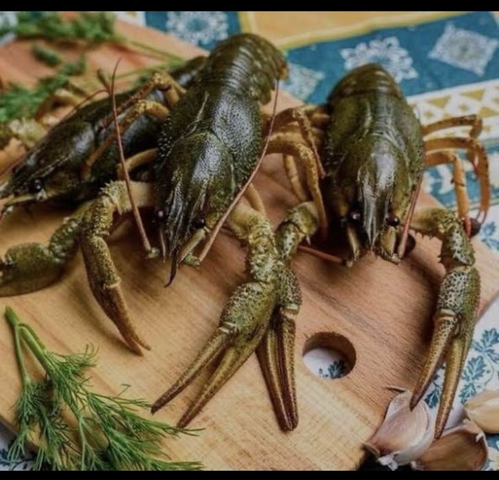 Живие и варение раки всех розмеров