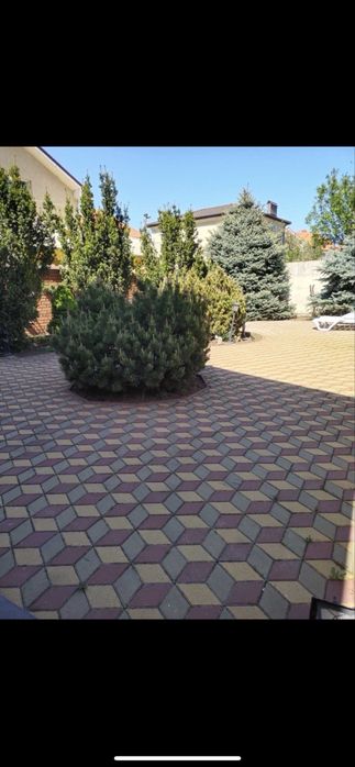 Сдам дом в Совиньоне 2