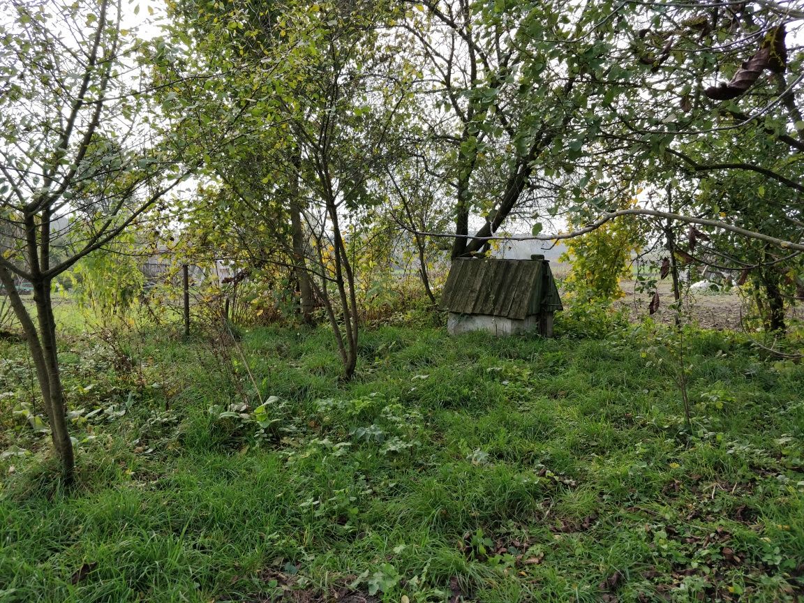 Земельна ділянка с. Нагірне (Ульбарів)