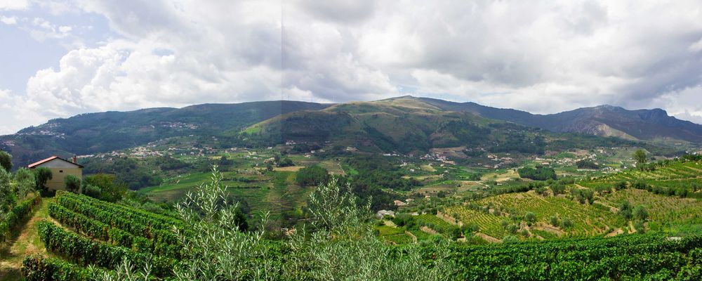 Quinta no Douro para vinho do porto e turismo 3ha