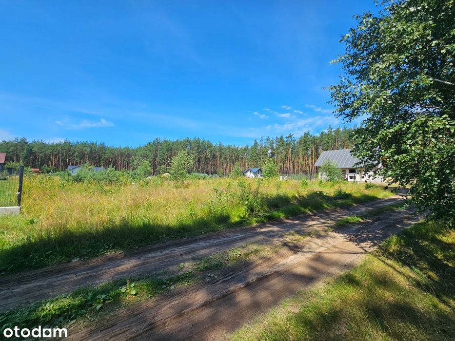 Działka w otulinie lasu blisko Drogi Kaszubskiej