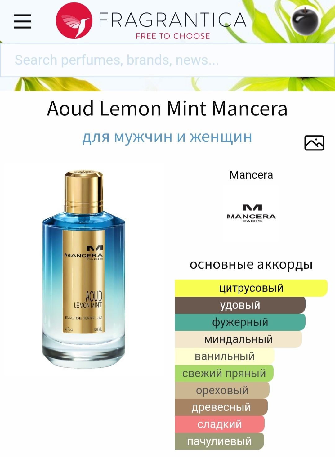 Mancera Aoud Lemon Mint, Armaf, Lattafa, Afnan, Ajmal, Rasasi
