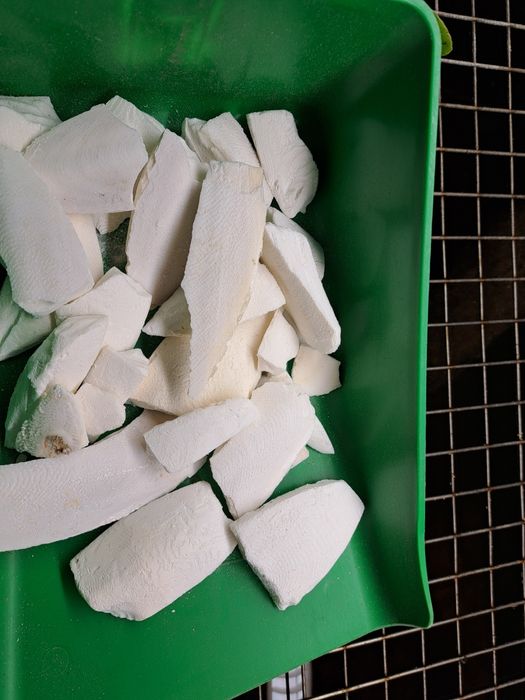 SEPIA NATURALNA w kawałkach 1,5kg za 150zł papuga,ślimak,karaczan,żółw