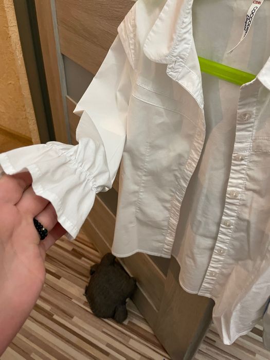 Elegancka biała koszula dziewczęca Coccodrillo