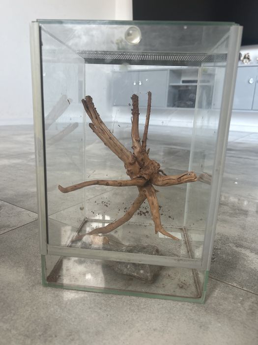 Terarium z wyposazżeniem