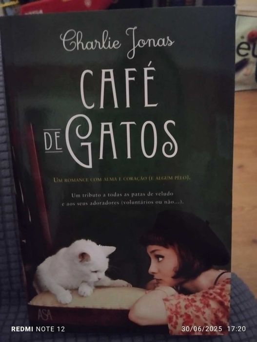 Café de Gatos - Charlie Jonas