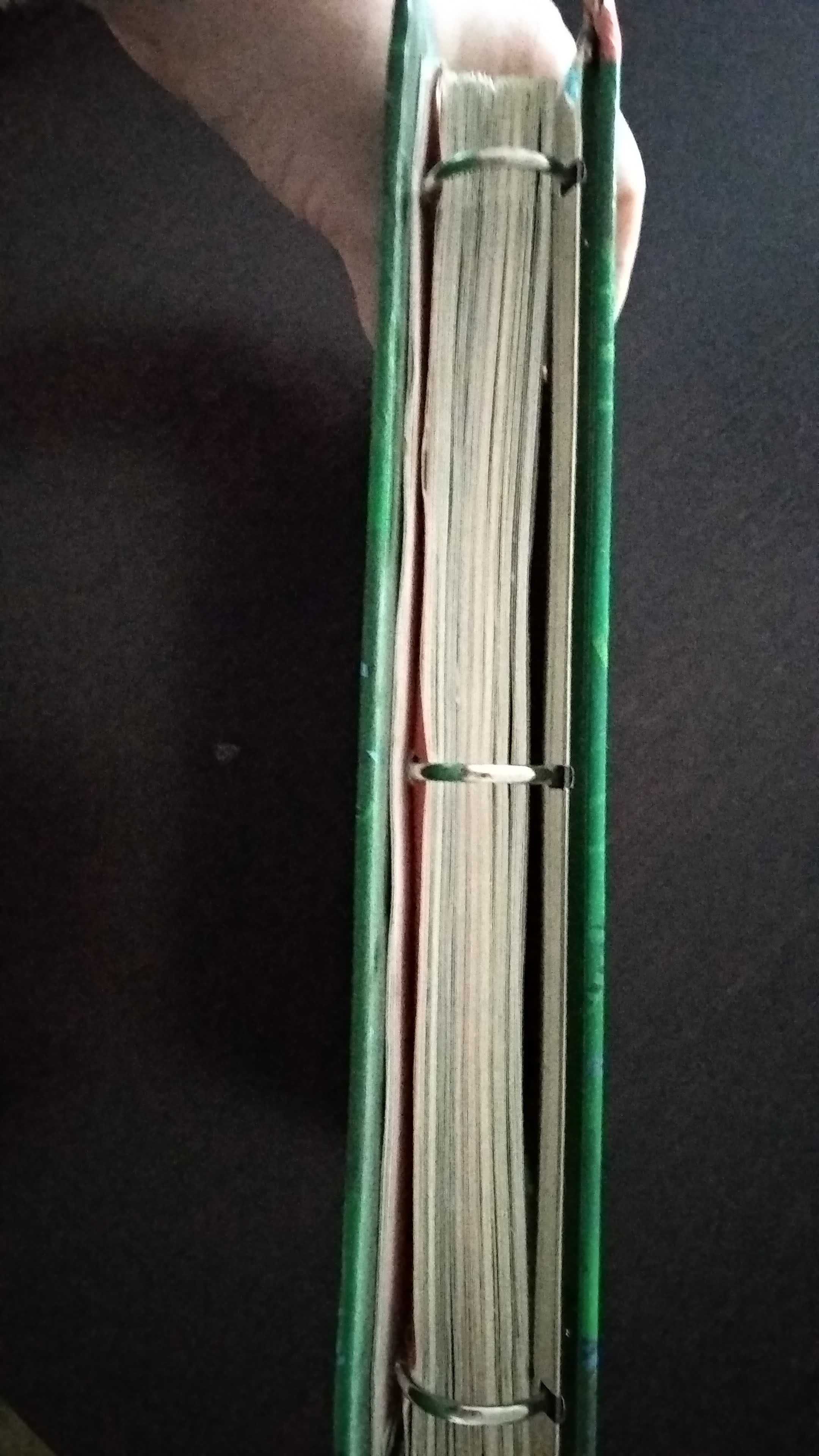 Jak rysować zwierzęta. Zabawne rysunki dla dzieci w każdym wieku