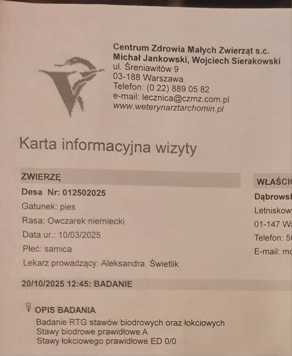 Owczarek Niemiecki Krótkowłosy(suczka 7,5mies) ZKwP