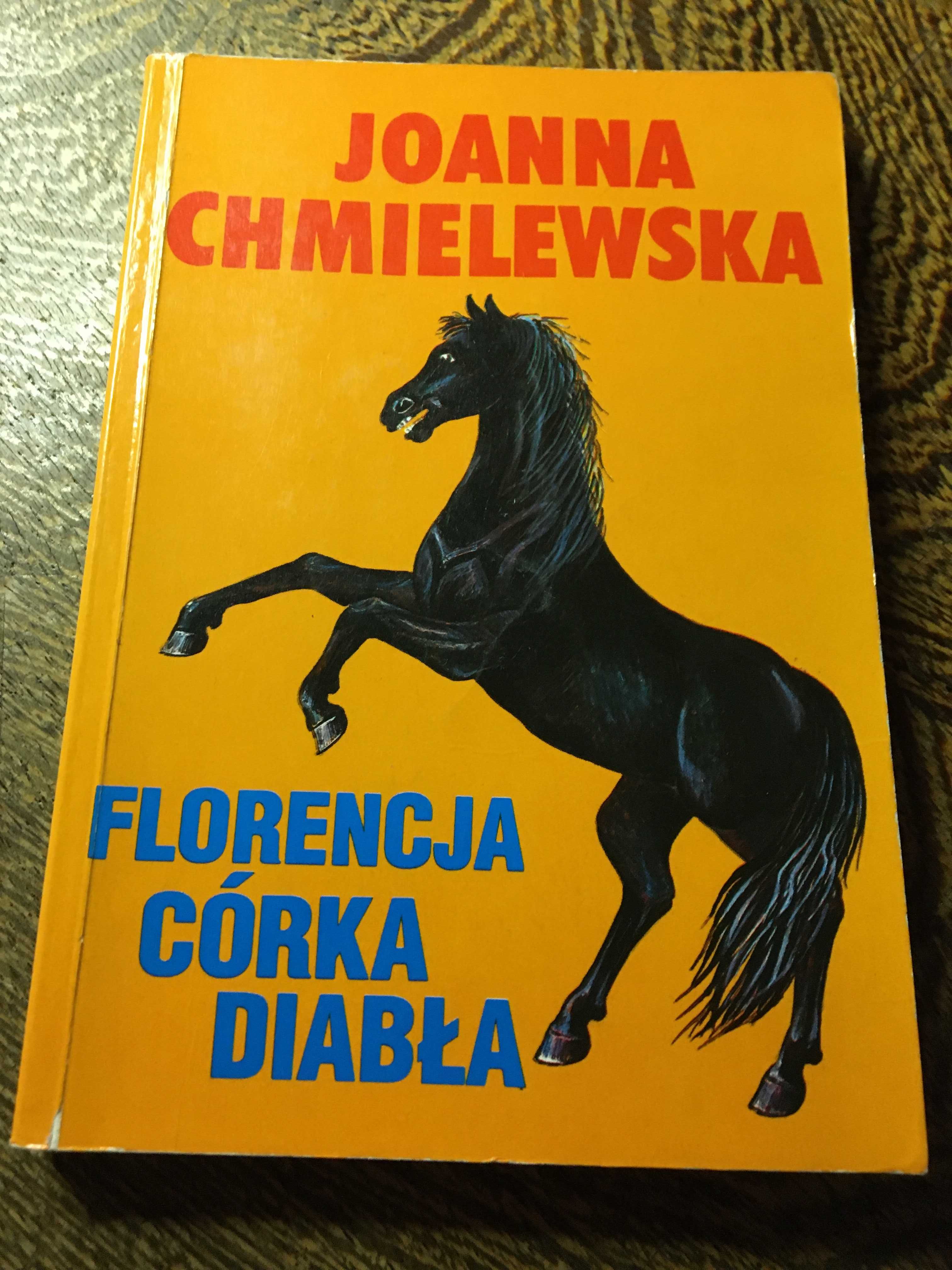 Książka "Florencja córka diabła" Joanna Chmielewska