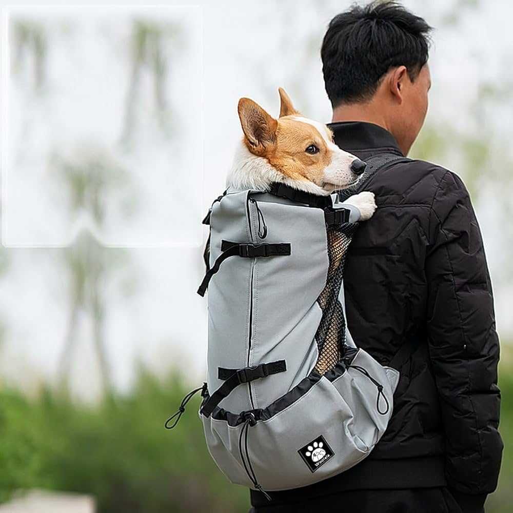 Mochila para transporte de cães - Nova