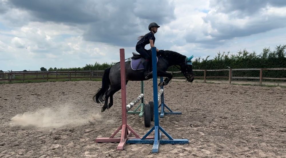 Cudowna klacz kuc na sprzedaż