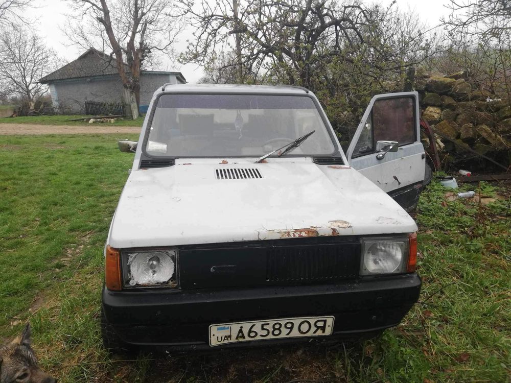 Fiat panda,фіат панда