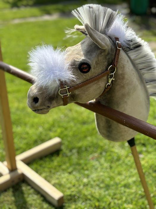 Hobby horse realistic