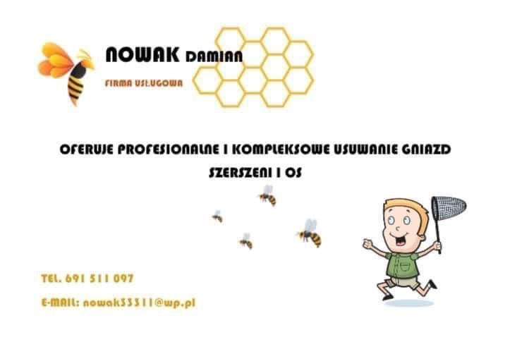 Usuwanie gniazd szerszeni i os.