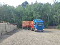 Scania ( do drewna ) R 144 520 KM