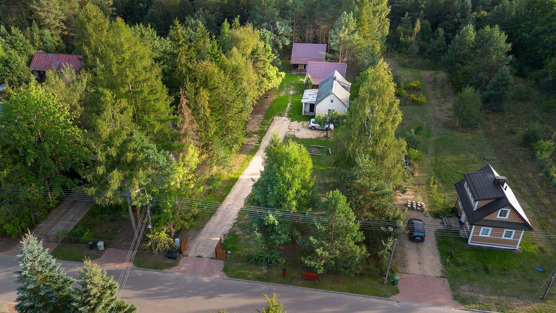 Zagajnik Białowieża - domy, nocleg