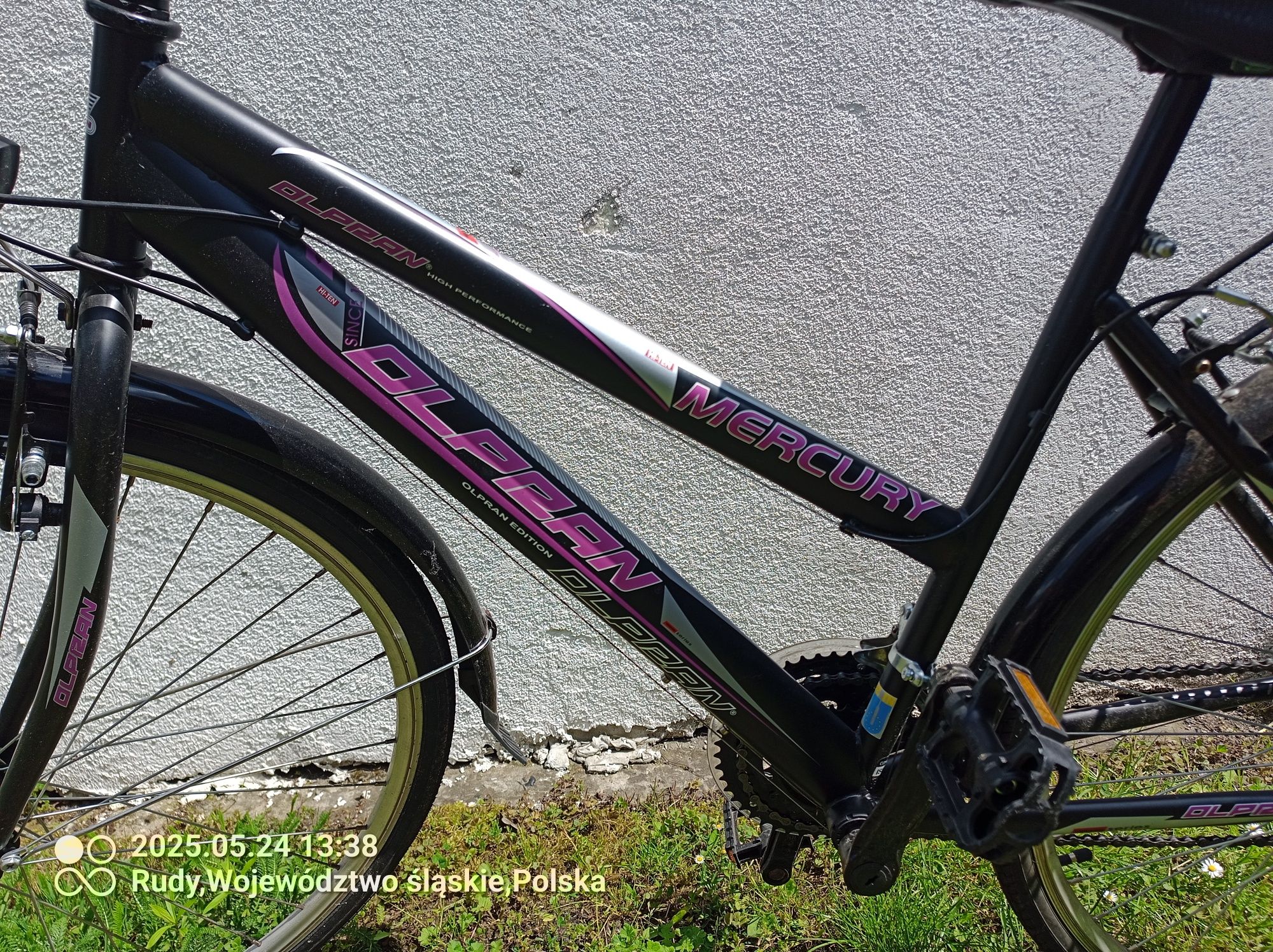 Rower damski Olpran